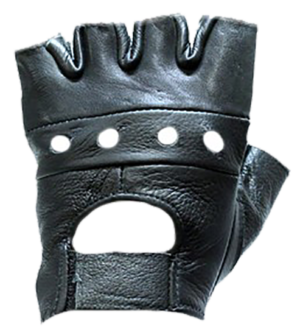 GL2008__41664.png