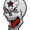 Vest Patches - Skull With Red Eyes and Evil Star Skull - PAT-D597-D598-DL